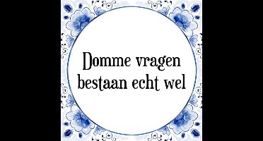 Tegeltje met Spreuk (Tegeltjeswijsheid): Domme vragen bestaan echt wel + Kado verpakking & Plakhanger