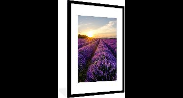 PosterMonkey - Poster - Fotolijst - Lavendel - Zon - Landschap - Bloemen - Kader - 80x120 cm - Posterlijst - Poster met frame - Poster lavendel - Foto in lijst - Poster natuur