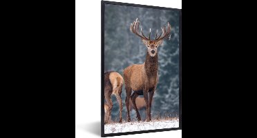 PosterMonkey - Poster - Fotolijst - Herten - Landschap - Dieren - Winter - Sneeuw - 80x120 cm - Kader - Poster met lijst - Frame poster - Poster hert - Poster dieren