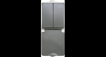 ION Industries - Combinatie spatwaterdicht - opbouw - serie - randaarde - verticaal - IP55 - grijs