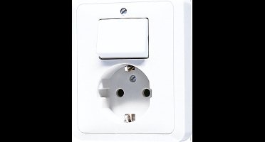 JUNG CD500 Gecombineerde Schakelaar Stopcontact Met Aardcontact - 5576EUWW - E3TF5