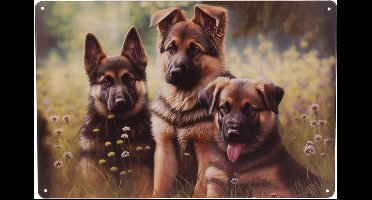 Metalen Plaatje - Herder Pups tussen Gras - 20x30cm