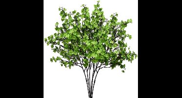 6 Bundels Gipskruid Kunstbloemen - Real Touch - Kunstbloemen Zijden Bloemen Bulk - voor Vaas Thuis Kantoor Bruiloft Lente Binnen Buiten Tafeldecoratie Feestdecoratie, Groen