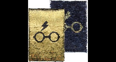Notitieboekje Harry Potter
