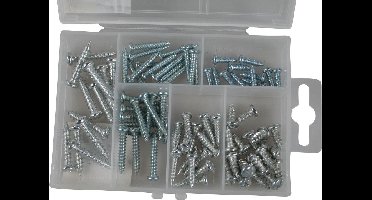 Benson Assortimentsdoos - Parkerschroeven - Verzinkt - 6 maten - 90-delig