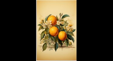 Poster 20x30 cm - Vintage - Planten - Sinaasappels - Beige - Natuur - Fruit - Posters - Kamer decoratie - Wanddecoratie woonkamer - Muurdecoratie slaapkamer