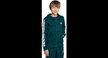 adidas Sportswear Essentials Ritshoodie Kids - Kinderen - Groen