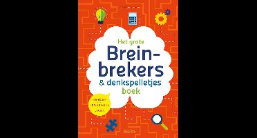 Het grote breinbrekers en denkspelletjes boek
