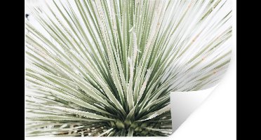 Muurstickers - Sticker Folie - Groen - Bladeren - Natuur - 30x20 cm - Plakfolie - Muurstickers Kinderkamer - Zelfklevend Behang - Zelfklevend behangpapier - Stickerfolie