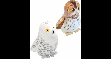 Set van 2x stuks pluche vogels knuffels van 14 cm met geluid