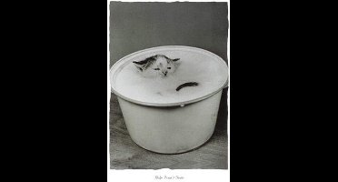 Kunstdruk B, Creative - Help I can't swim 30x40cm