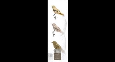 Vogels glas gouden mix 3x8x3.5cm