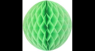 5 x Mint groene Honeycomb 35 cm