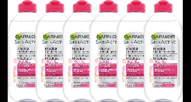 Garnier Skinactive Face SkinActive - Micellair Reinigingswater voor de Droge Huid - Voordeelpverpakking - 6 x 400ml