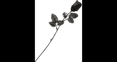 Vegaoo - Zwarte roos