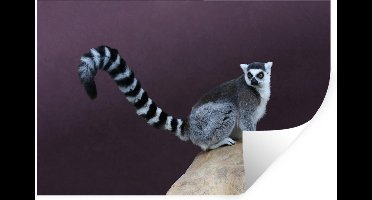 Muurstickers - Sticker Folie - Aap - Ringstaartmaki - Steen - 30x20 cm - Plakfolie - Muurstickers Kinderkamer - Zelfklevend Behang - Zelfklevend behangpapier - Stickerfolie