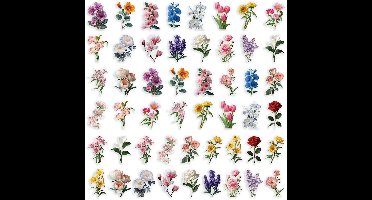50 Bloemenstickers – Esthetische Stickers met Natuurlijke Bloemen – Transparante Bloemenstickerset voor Scrapbooks – Knutselprojecten – Kaarten en Laptops – DIY-stickers voor telefoonhoesjes