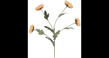 Kunsttak Chrysanthemum beige 20xH83,8cm.