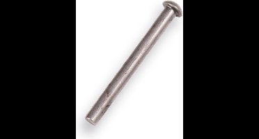 Klinknagel 5 cm voor spade verpakt per 2 stuks