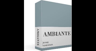 Ambiante jersey hoeslaken - Lits-jumeaux - Blue