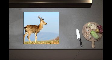 Inductieplaat Beschermer - Bruin Hert in de Herfst - 57x52 cm - 2 mm Dik - Inductie Beschermer - Bescherming Inductiekookplaat - Kookplaat Beschermer van Wit Vinyl