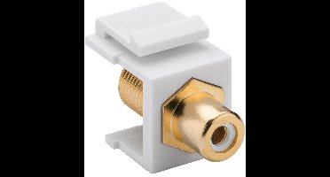 Keystone module F (v) - Tulp RCA (v) audio links (wit) verguld / wit