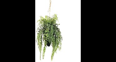 Kunstplant Varen Mix in Pot Hang - 122 cm