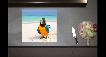 Inductieplaat Beschermer - Blauwe, Gele en Groen Gekleurde Are Papegaai op Wit Strand bij Oceaan - 59x55 cm - 2 mm Dik - Inductie Beschermer - Bescherming Inductiekookplaat - Kookplaat Beschermer van Wit Vinyl