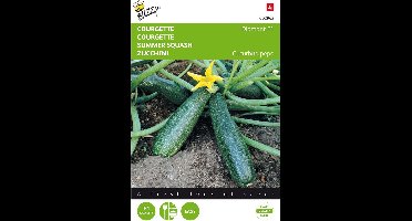 Buzzy - Courgette Diamant F1 (Cucurbita pepo)