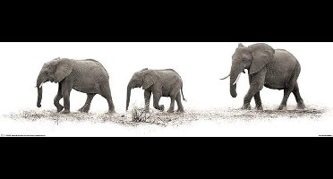 Mario Moreno The Elephants Poster 30.5x91.5cm