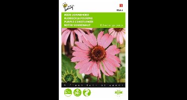 Echinacea purpurea - rode zonnehoed