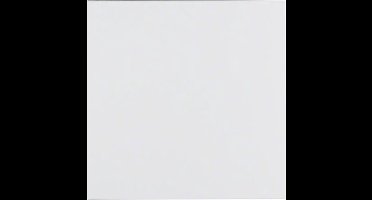 Hager Berker S.1/B.3/B.7 Schakelelement/Centrale Plaat - 85141188 - E358N