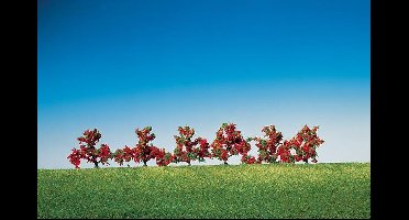 Faller - 6 Struiken, rood bloeiend - modelbouwsets, hobbybouwspeelgoed voor kinderen, modelverf en accessoires