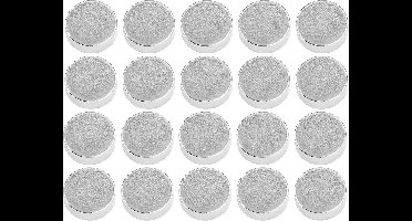 20x Extra Sterke Neodymium Schijfmagneten Ø 5x2 mm - Weinig Zichtbaar & Krachtig