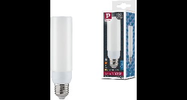 Standaard 230 V LED Deco Pipe E27 520lm 5,5W 2700K dimbaar Satijn