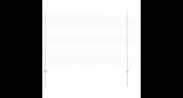 vidaXL - Hek - met - Paal - Zilverkleurig