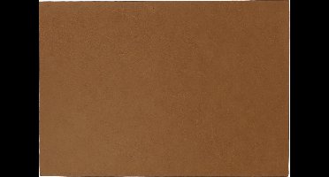 AVA - Placemat - 30x43 cm - Leatherlook