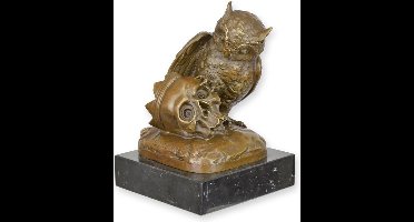 Uil en schedel - Bronzen beeld - sculptuur - 17,6 cm hoog