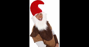 Rode Kaboutermuts - met baard en wenkbrauwen - Dwergen - verkleed accessoires