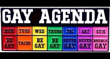 Gay Agenda Enamel Pin – LGBTQ+ Regenboog Badge – Pride Accessoire 4 cm