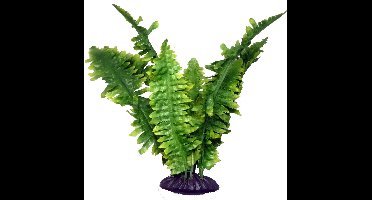 Komodo Boston Varen - 25 cm