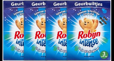 Robijn Geurbuiltjes - Intense Morgenfris - 4 x 3 Stuks