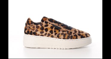 Copenhagen CPH77 zenix damessneaker in luipaardprint