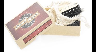 Roswell Pickups LVS-N Alnico II Neck Humbucker (Zebra) - Humbucker pickup voor gitaren