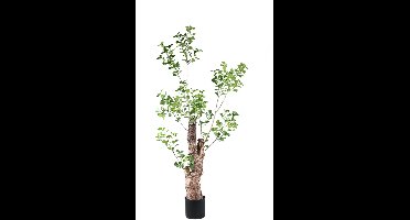 PTMD Bloempot Triangularis - 80x80x180 cm - Polyester - Groen