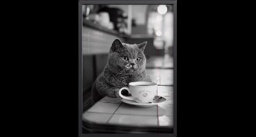 British Shorthair Kat met Koffie Zwart-Wit Poster Ingelijst– 30x45 cm met Lijst | Stijlvolle Retro Wanddecoratie in Franse Caféstijl – Voor Keuken of Woonkamer
