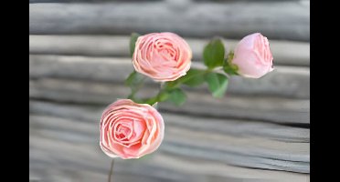 Buitengewoon de boet - Roze 3 knopen roze