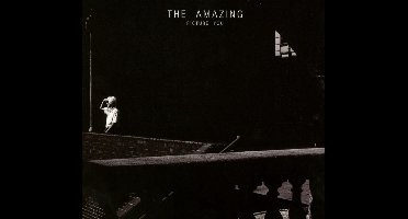 The Amazing - Picture You (CD)
