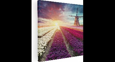 Artaza Canvas Schilderij Kleurrijke Tulpen Bloemenveld - Windmolen - 40x40 - Klein - Foto Op Canvas - Canvas Print