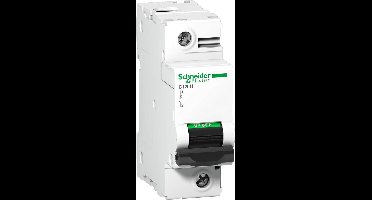 Schneider Electric A9N18492 A9N18492 Zekeringautomaat - 125 A - 144 V/DC